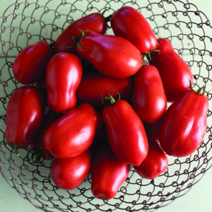 San Marzano Tomato