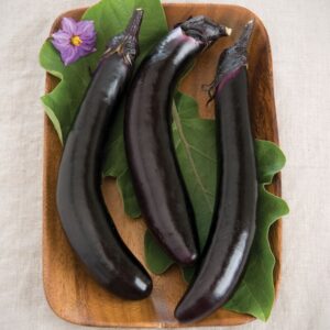 Eggplant, Chinese