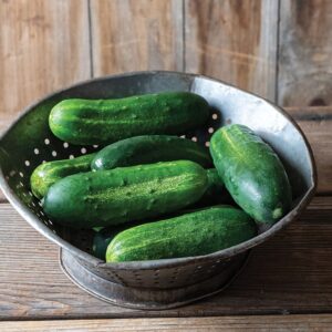 Cucumber, Pickling