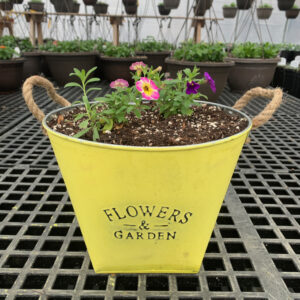 10" Colorful Flowers & Garden Planter