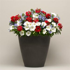 Heartland Planter