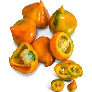 Orange Lesya Pepper