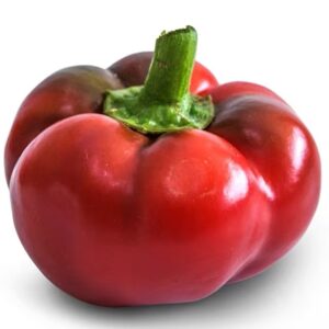 Ashe County Pimento Pepper
