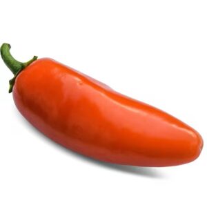 Orange Spice Jalapeño Pepper