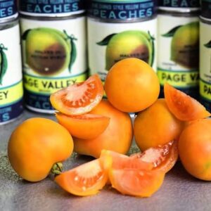 Orange Peach Tomato