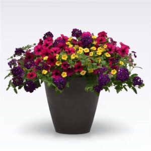 Bejeweled Hanging Basket