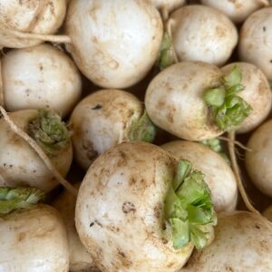 Turnip