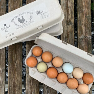 Egg Dozen