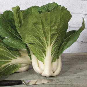 Bok Choi