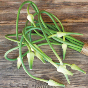 Garlic Scapes