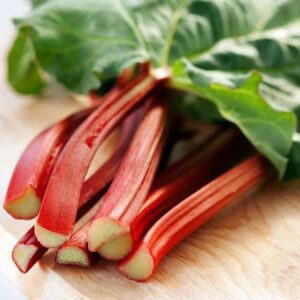 Rhubarb