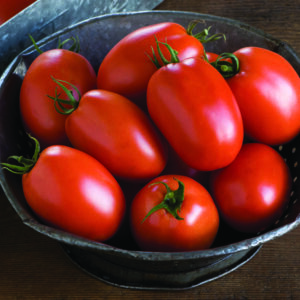 Tomato - Roma