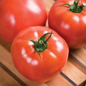 Tomato - Slicing