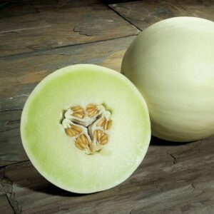 Honeydew